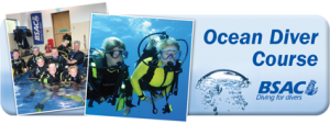 Train to become a scuba diver - Ocean Diver Course