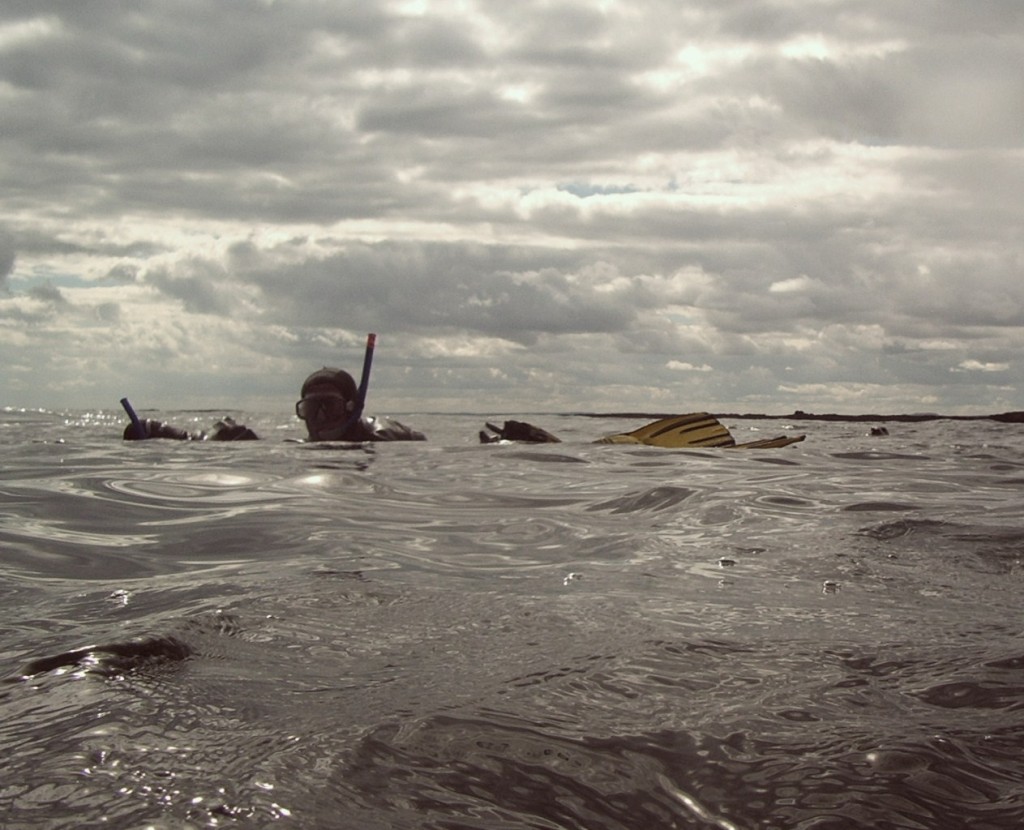 Snorkelling on the surface. 